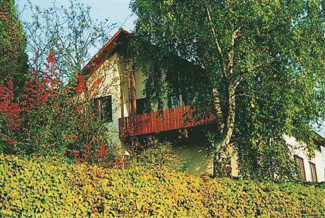 Gaestehaus Heintz Merzig Εξωτερικό φωτογραφία